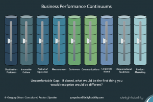 image of Business-Performance-Continuums-used by business and marketing consultant Gregory-Olson-Delightability-206-356-8811