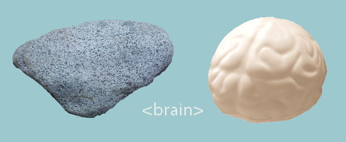 Image of Rock Next to a Fake Brain