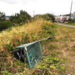 image of abandoned-shopping cart off Burke Gilman bicycle trail