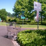 shopping cart abandoned at scenic trail in park