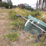 shopping trolley ditched in grass