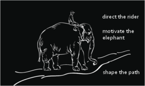 Switch model for change - an elephant, a rider, and a path